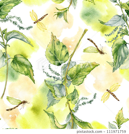 Nettle herbal plant with dragonfly seamless pattern isolated on white. Illustration of stinging plant on watercolor backdrop hand drawn. Print of useful herb. Design for textile, package, wallpaper 111971759