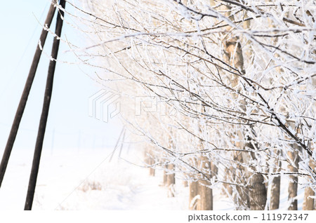 Fog ice and snowy field 111972347