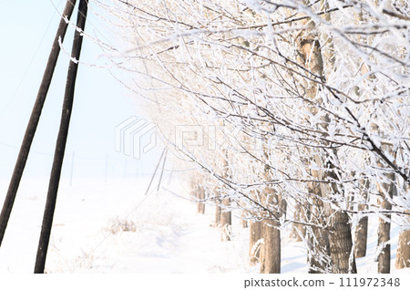 Fog ice and snowy field 111972348