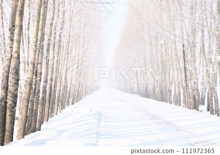 Fog ice and snowy field Fog ice and snowy field 111972365