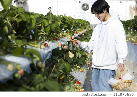 狩獵草莓的男孩 狩獵草莓的男孩 111973656