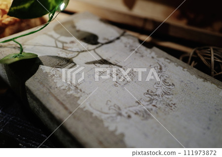 book interior 111973872