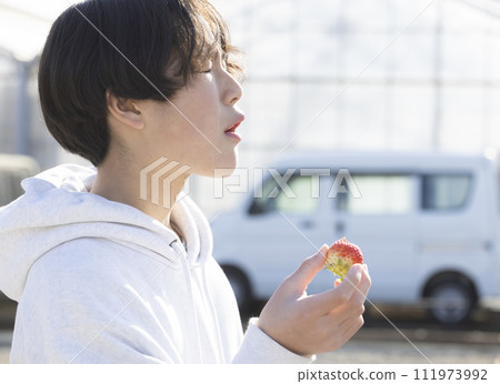 吃草莓的孩子 111973992