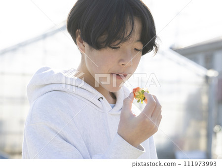 吃草莓的孩子 111973993