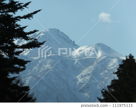 Spring noodle-dake 111975115