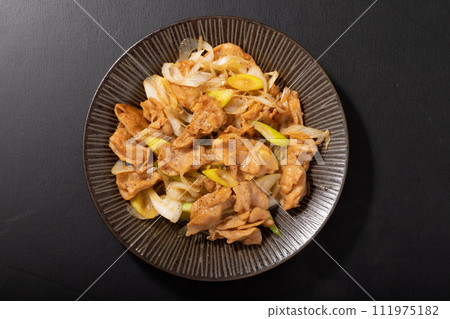 Grilled chicken fillet with green onions 111975182
