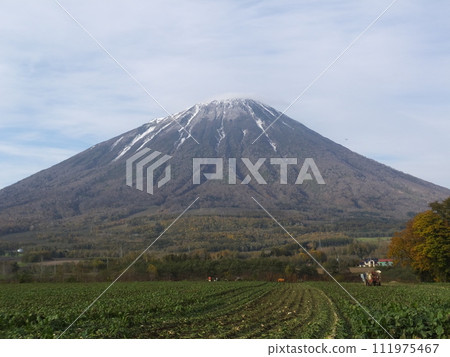 仰望羊蹄山 111975467