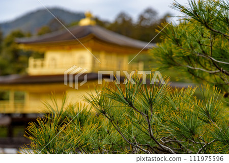 Selective focus of Kinkakuji temple Golden Pavillion, Zen Buddhist temple in Kyoto, Japan 111975596