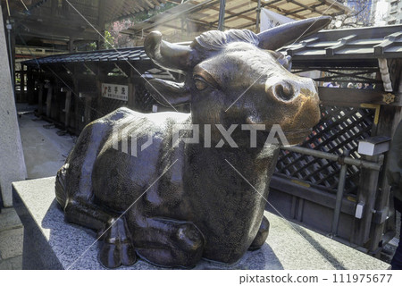 Yushima Tenjin bull statue Yushima Tenjin bull statue 111975677