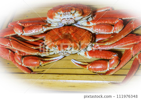 Boiled cracked crab Boiled cracked crab 111976348