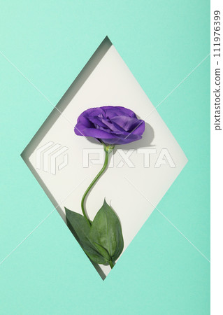 Beautiful, fresh flowers on a blue background. Beautiful, fresh flowers on a blue background. 111976399