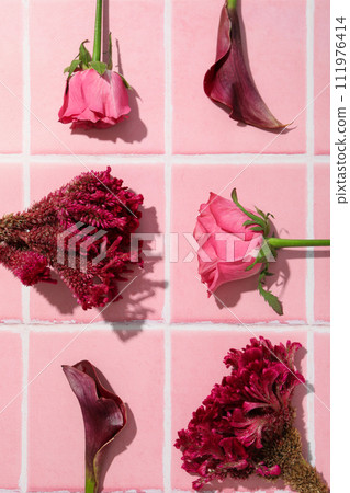Beautiful, fresh flowers on a pink background. 111976414