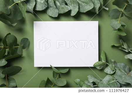 Leaf with leaves on a green background. 111976427