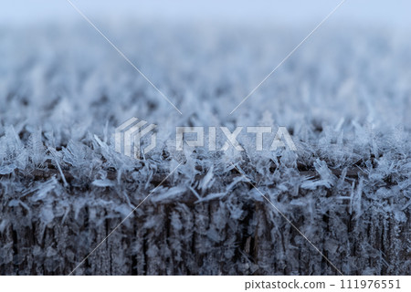 Crystal of snow Crystal of snow 111976551