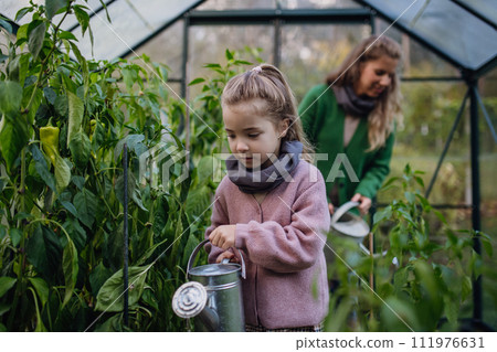 Little girl watering, taking care of plants in greenhouse, during first spring days. Concept of water conservation in garden and family gardening. 111976631