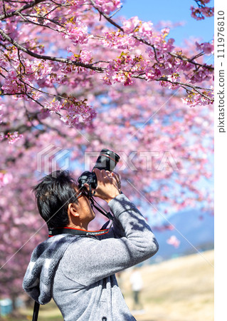 男人拍照的櫻花 男人拍照的櫻花 111976810