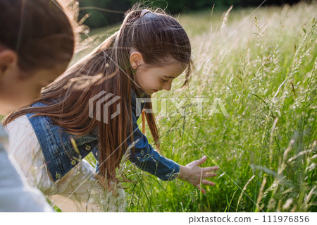 Sisters looking at ladybug, insect on grass, using magnifying glass. Young family on walk during warm spring day. Concept of family bonding. 111976856
