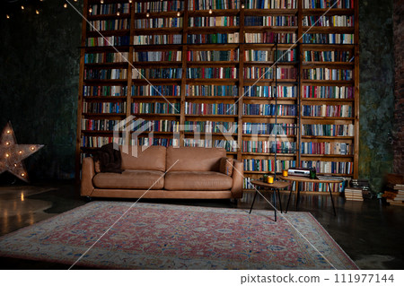 Bookshelves in the library. Large bookcase with lots of books. Sofa in the room for reading books. Library or shop with bookcases. Cozy book background. Bookish, bookstore, bookshop. 111977144