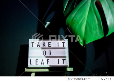 Funny joke idea inscription saying TAKE IT OR LEAF leave IT Monstera silhouette leaf in dark background and light from sunset aesthetic lamp. Projector yellow light golden hour effect. House plants Funny joke idea inscription saying TAKE IT OR LEAF leave IT Monstera silhouette leaf in dark background and light from sunset aesthetic lamp. Projector yellow light golden hour effect. House plants 111977543