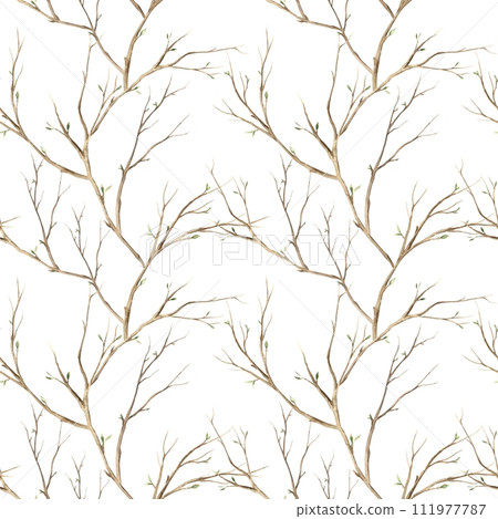 Watercolor pattern of spring branches on a white background. Illustration hand drawn on isolated background for greeting cards, invitations, happy holidays, posters, fabric, wallpaper, graphic design. 111977787