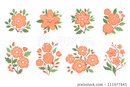 Set of peach sakura, composition botanical elements. Vector illustrations for spring banners, posters, cards. Set of peach sakura, composition botanical elements. Vector illustrations for spring banners, posters, cards. 111977845