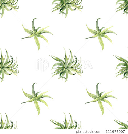 aloe seamless pattern aloe seamless pattern 111977907