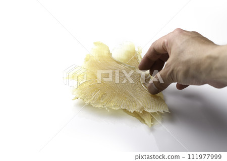 Delicacy Stingray fin (white background) 111977999