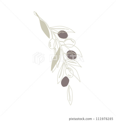 Olive branch with fruits, continuous line drawing. Hand drawn floral template, vector isolated illustration. 111978285