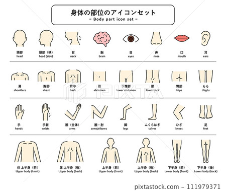 身體部位圖示集部分人體象形圖健康上半身下半身按摩醫療 身體部位圖示集部分人體象形圖健康上半身下半身按摩醫療 111979371
