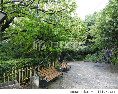 公園 公園內 公園內 111979584
