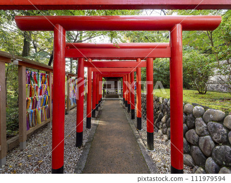 在保田山尊永寺境內建造的雙葉神社鳥居 在保田山尊永寺境內建造的雙葉神社鳥居 111979594