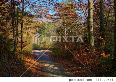 Mountain dirt country road in bright multi colored autumn colors in the sun 111979651