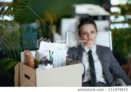 Modern 40 years old woman worker in green office Modern 40 years old woman worker in green office 111979853