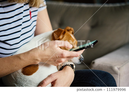 Woman using mobile phone at home Woman using mobile phone at home 111979996