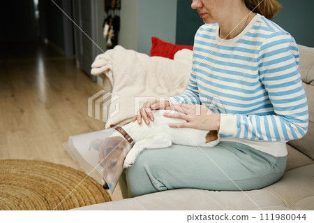 Woman strokes dog wearing Elizabethan collar at home 111980044
