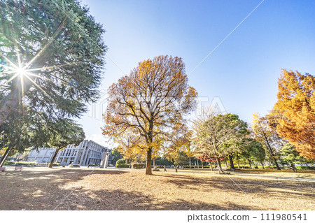 北浦和公園 北浦和公園 111980541