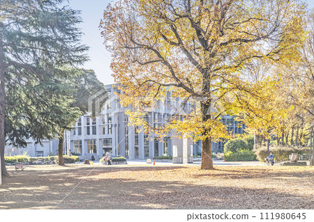 Kita Urawa Park 111980645