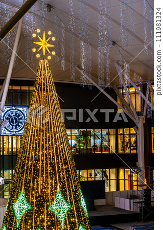 Seagull Square Symbol Tree Illumination [Nagasaki City] 111981324