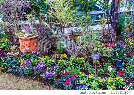 Amu Plaza Nagasaki New Wing Rooftop Garden Evening View [Nagasaki City] 111981504