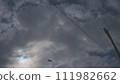 太陽、老鷹和電線桿從多雲的天空中消失 111982662
