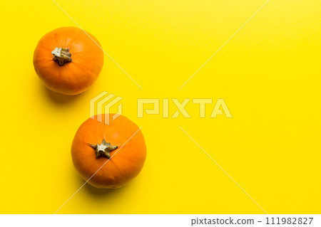 Autumn composition of little orange pumpkins on colored table background. Fall, Halloween and Thanksgiving concept. Autumn flat lay photography. Top view vith copy space Autumn composition of little orange pumpkins on colored table background. Fall, Halloween and Thanksgiving concept. Autumn flat lay photography. Top view vith copy space 111982827