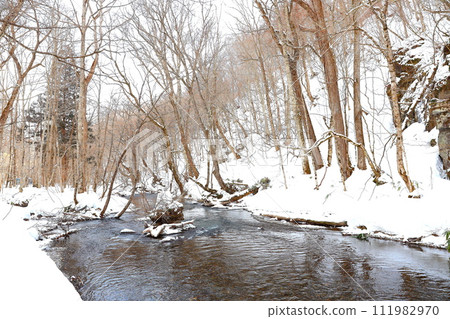 Oirase Stream in winter in Towada City, Aomori Prefecture Oirase Stream in winter in Towada City, Aomori Prefecture 111982970