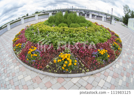 Round flower bed in the city. Flowers on the asphalt background. Landscaping of the street. Round flower bed in the city. Flowers on the asphalt background. Landscaping of the street. 111983125