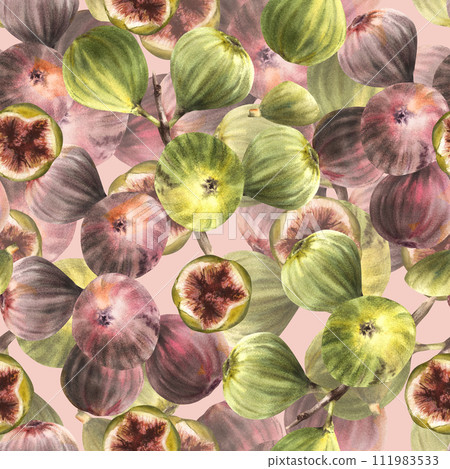 Ripe, juicy fruits of green, purple figs, whole fruits seamless pattern. Plant clipart for fabric, label, wallpaper, packaging textile. Hand drawn watercolor illustration. Isolated coloured background Ripe, juicy fruits of green, purple figs, whole fruits seamless pattern. Plant clipart for fabric, label, wallpaper, packaging textile. Hand drawn watercolor illustration. Isolated coloured background 111983533