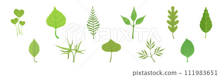Green Grass Plant Part and Element Vector Set 111983651