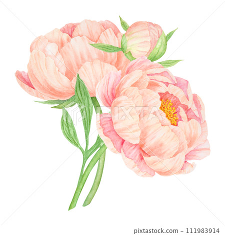 Peach peony bouquet watercolor hand drawn painting. Chinese national symbol illustration. Realistic flower clipart, floral arrangement for card design, wedding invitation, prints, textile, packing 111983914