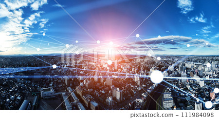 Modern cities and communication networks 111984098