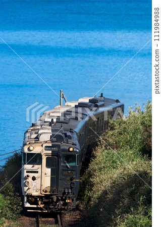Ibusuki express train running along the coast Ibusuki express train running along the coast 111984988