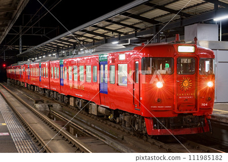 713 series 111985182