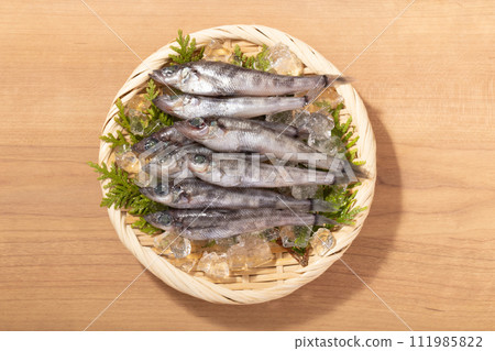 [Produced in Miyagi Prefecture] Mexicali 111985822